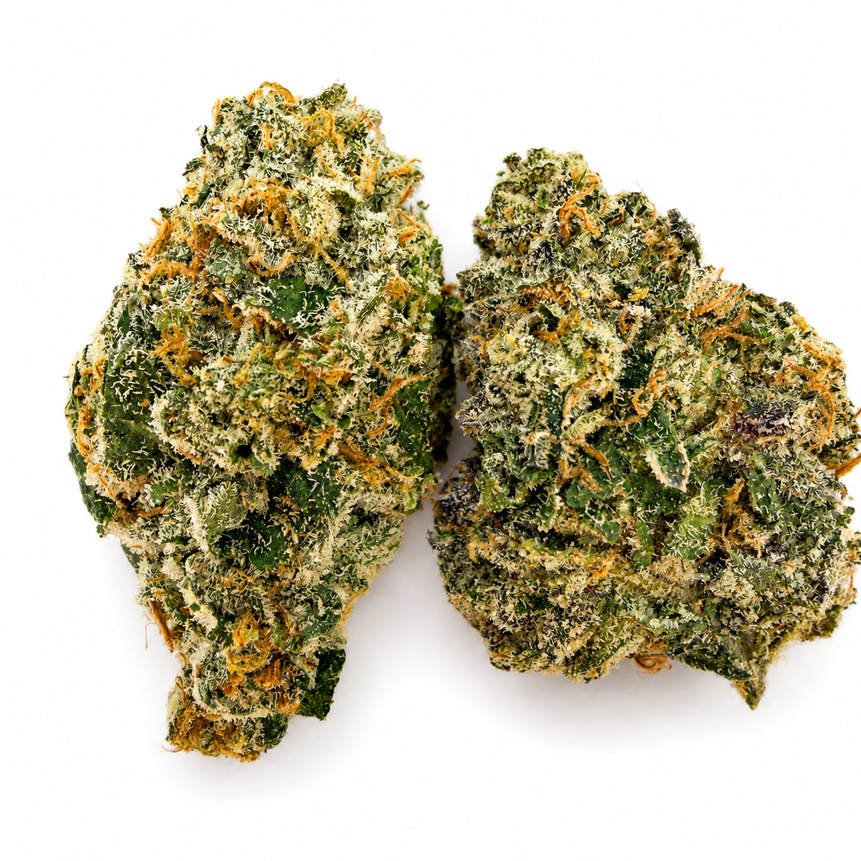 CANDY CARTEL #36